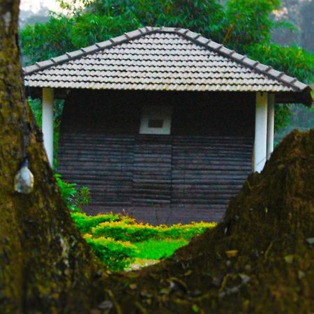 Muccole Stay Napoklu المظهر الخارجي الصورة